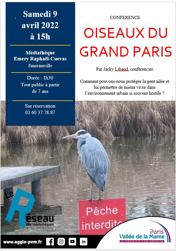 Lire la suite à propos de l’article Conférence « Oiseaux du grand Paris »